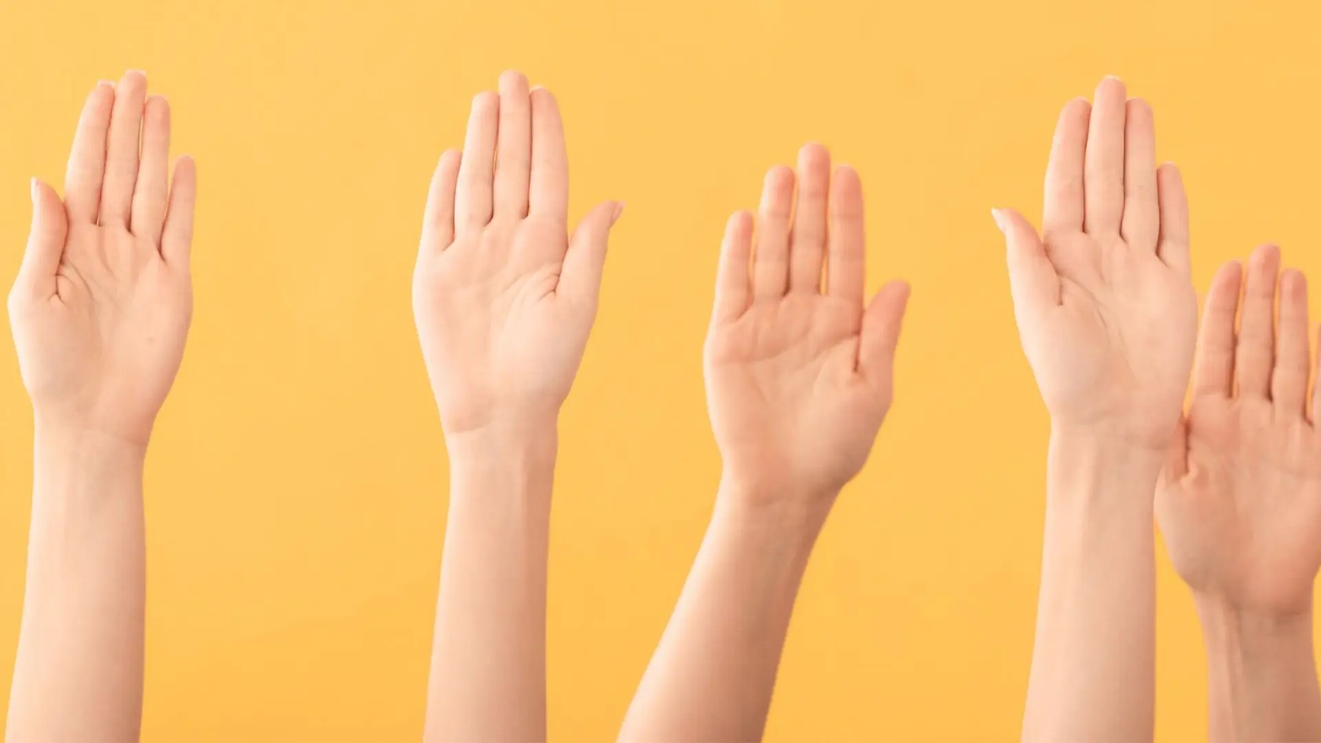 © pixelshot | canva.com