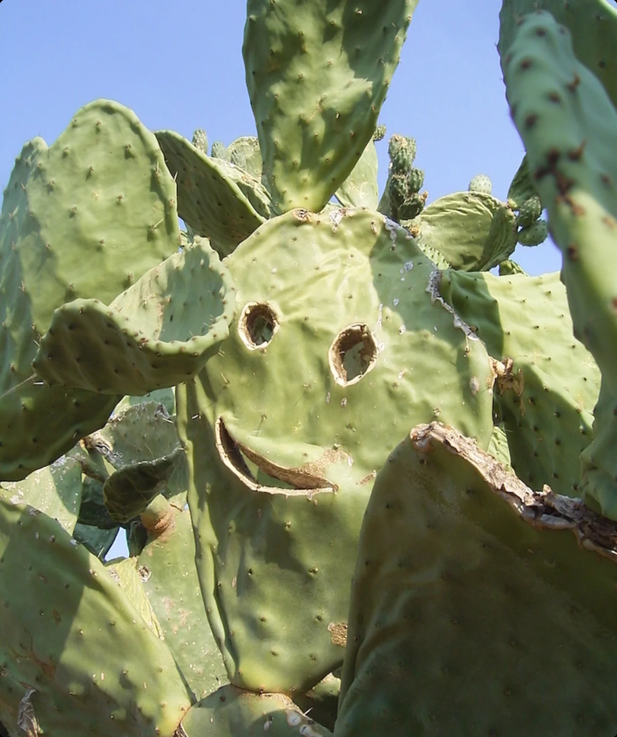 Kletterfreizeit Korsika 2017 | © JDAV Fulda | Johannes Schmidt