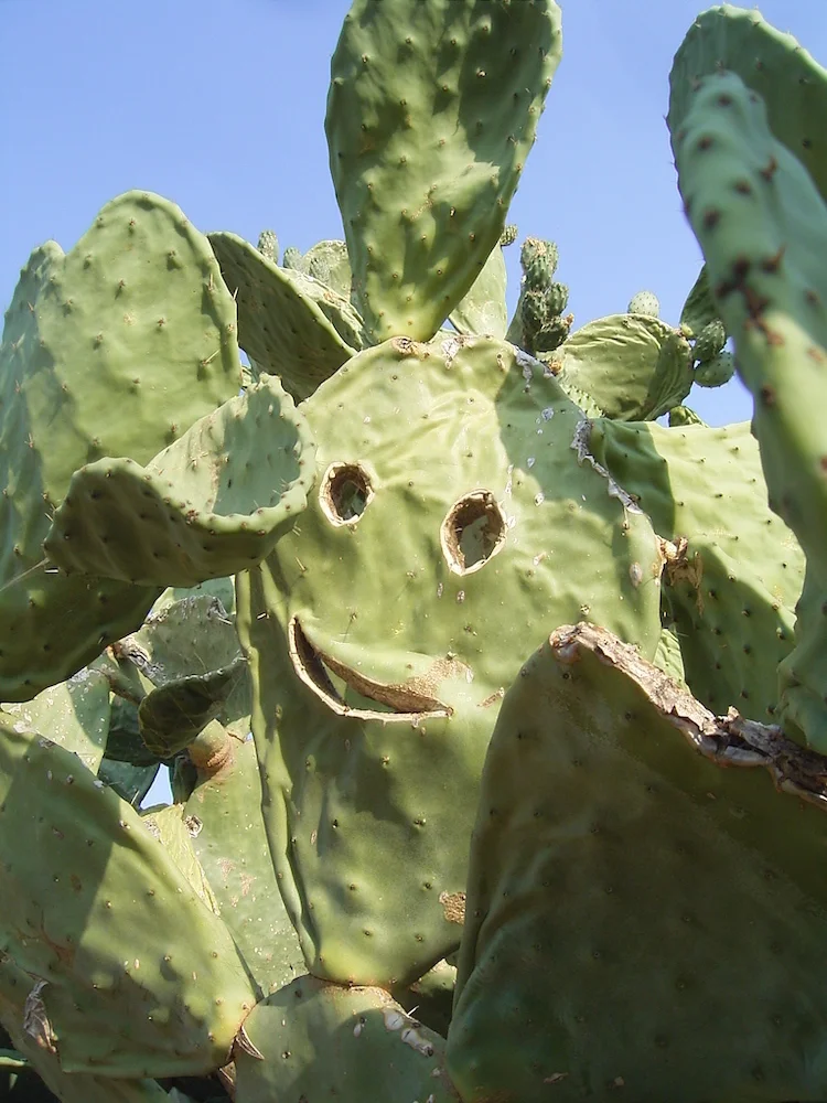 Kletterfreizeit Korsika 2017 | © JDAV Fulda | Johannes Schmidt