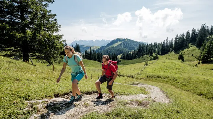 Zwei Wanderer auf einem Bergpfad in den Chiemgauer Alpen | © DAV/Hans Herbig